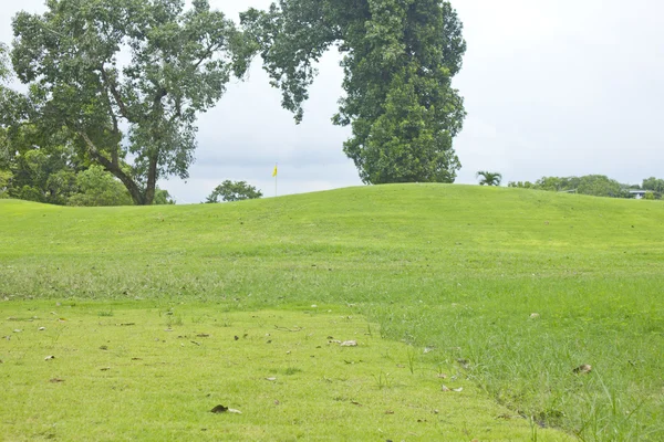Fotos: paisajes de praderas | hermosas praderas verdes en paisaje
