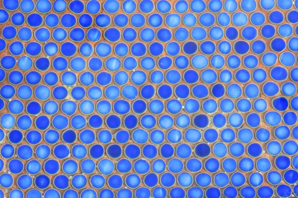 在游泳池中的蓝色瓷砖 — 图库照片