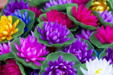lotus feneri