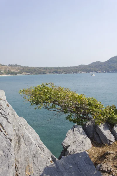 View point Koh Larn island of Thailand — Stock Photo, Image