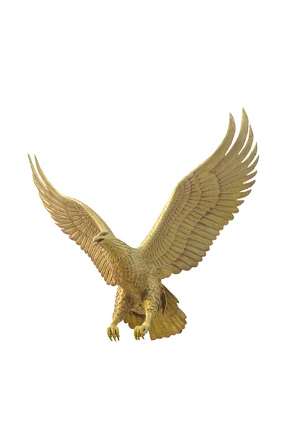 Гигантский орёл — стоковое фото