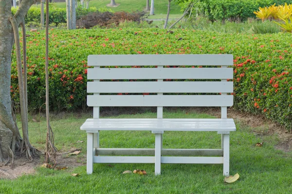 Hölzerner Gartenstuhl im schönen Garten — Stockfoto