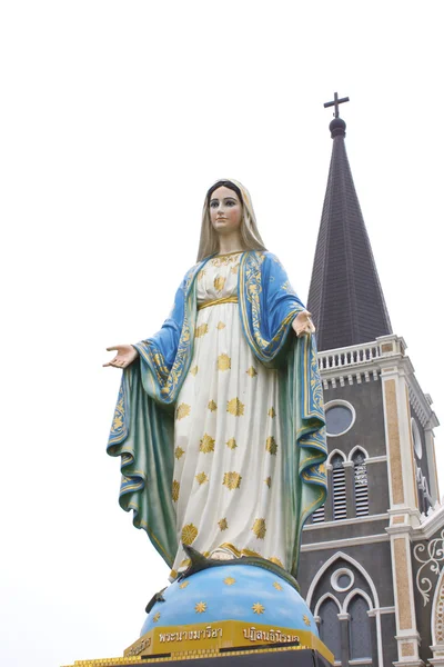 Hermosa Virgen María — Foto de Stock