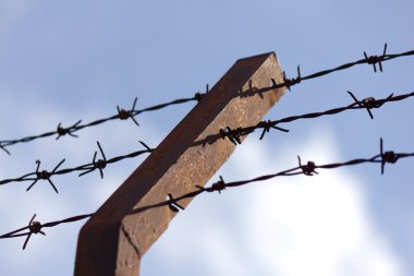 dikenli tel çit duvar