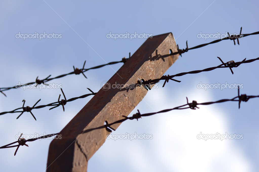 Barbed wire fence on the wall