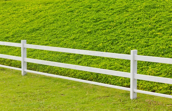 Wooden fence in the grass. — Stock Photo, Image