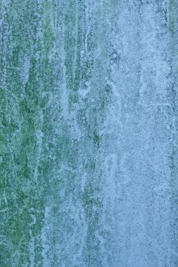 duvarın üstünde su lekesi