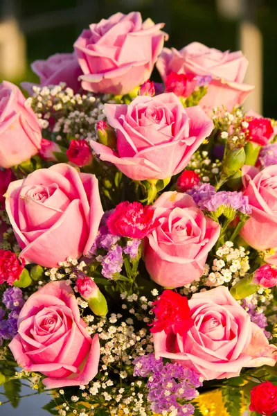 Morning flowers rose — Stock Photo, Image