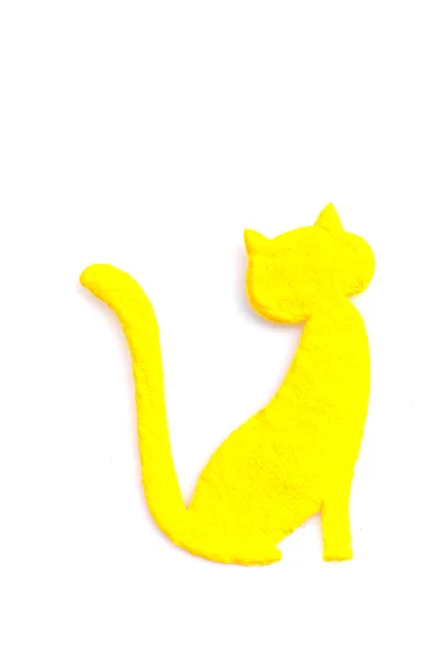 Kolor papieru kot w tle — Zdjęcie stockowe