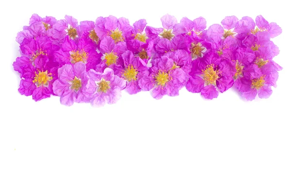 Красивая рамка из фиолетовых цветов — стоковое фото