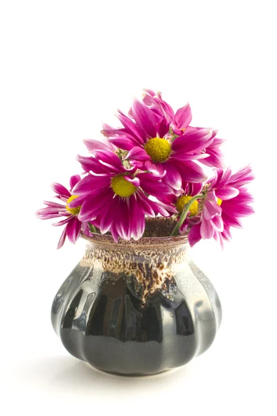 Цветы в цветочной вазе на белом фоне — стоковое фото