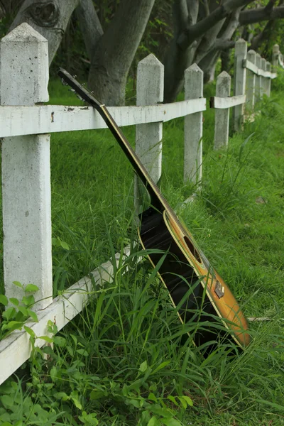 Одна гитара против зеленой травы — стоковое фото