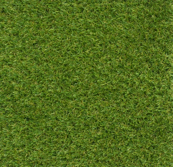 Erba verde vira sfondo quadrato — Foto Stock