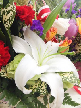 bir çiçek buketi yakın çekim 