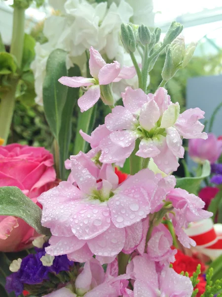 Primo piano di un mazzo di fiori — Foto Stock