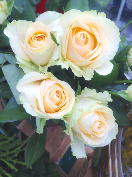 Bouquet of light orange roses — Stock Photo, Image