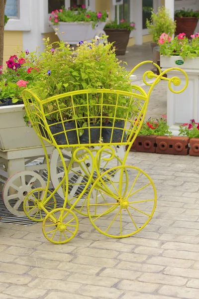 Carriola in legno bianco con fiori — Foto Stock