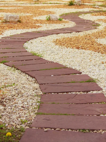 Kamienny chodnik w parku z zieloną trawą — Zdjęcie stockowe