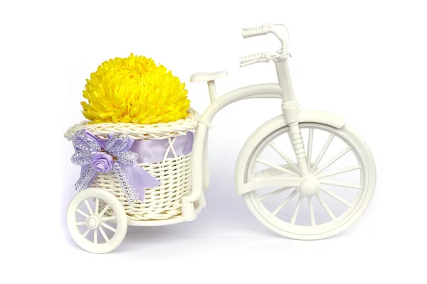 Yellow Blossom Asteraceae Flowers in vase on Mini tricycle — Stock Photo, Image
