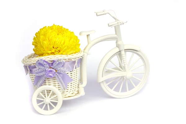 Yellow Blossom Asteraceae Flowers in vase on Mini tricycle — Stock Photo, Image