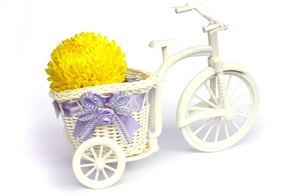 Yellow Blossom Asteraceae Flowers in vase on Mini tricycle — Stock Photo, Image