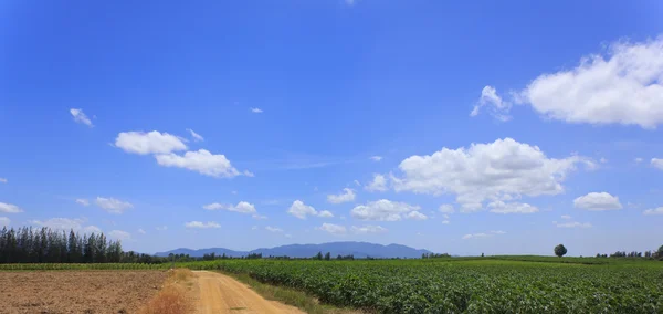 Camino sucio cerca del campo verde y negro bajo el cielo nublado — Foto de Stock