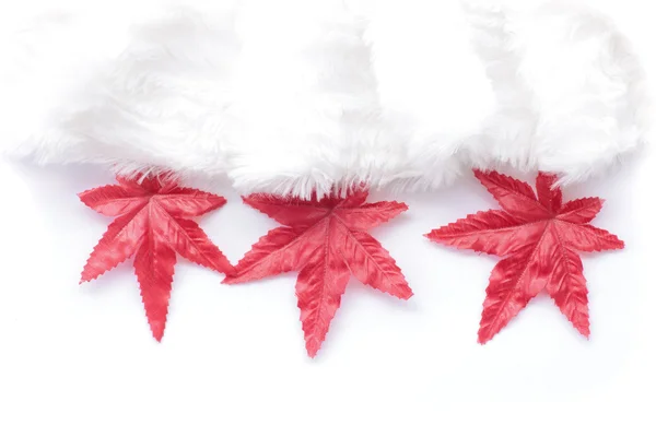 Red maple leaf on white background — Stock Photo, Image