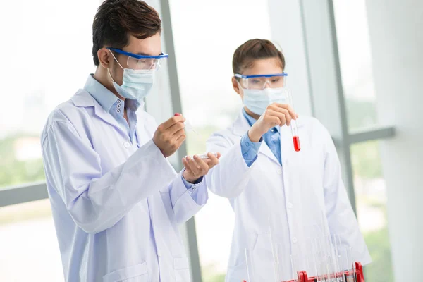 In lab environment — Stock Photo, Image