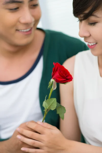 Gift of love — Stock Photo, Image