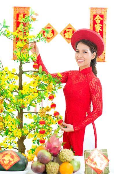 Hoa Mai — Stock Photo, Image