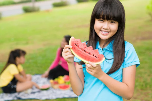 Op een picknick — Stockfoto