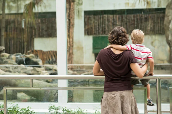 Être dans le zoo — Photo