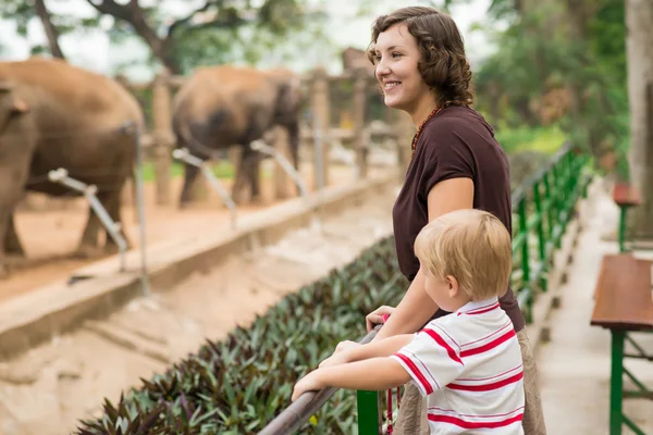 Im Zoo sein — Stockfoto