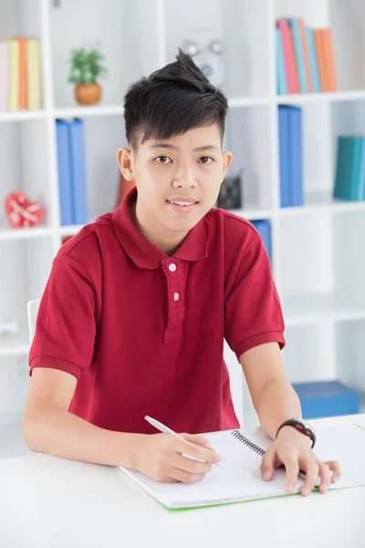 Diligent schoolboy — Stock Photo, Image