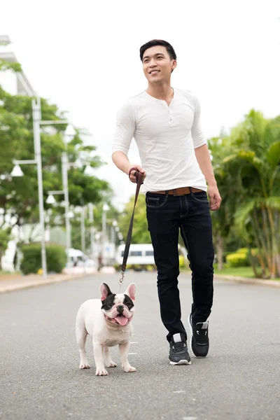 Walking a dog — Stock Photo, Image