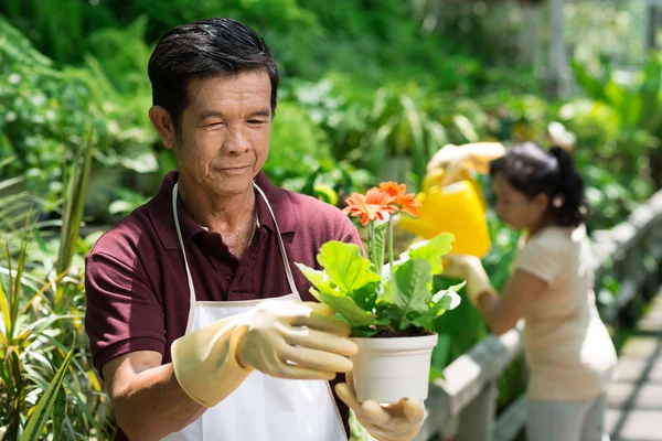 Jardinería — Foto de Stock