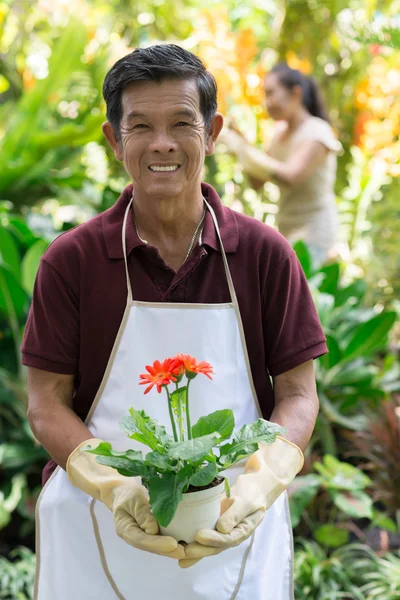 Buon giardiniere maturo — Foto Stock