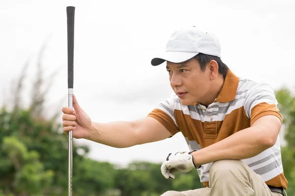 Concentration on golf — Stock Photo, Image