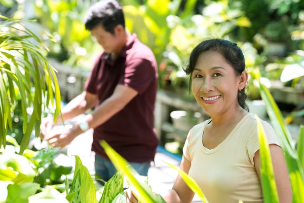 En el jardín — Foto de Stock