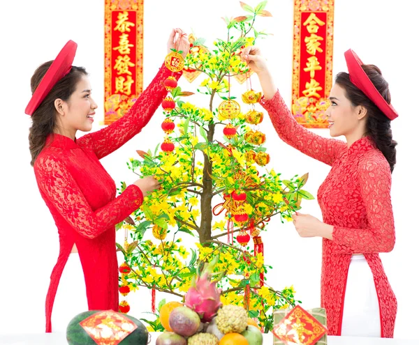 Hoa Mai Decoration — Stock Photo, Image