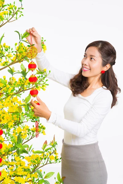 Mujer decorando albaricoque —  Fotos de Stock