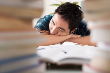 Öğrenci Kitaplığı içinde uyuklayan