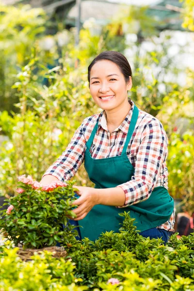 Glücklicher Gärtner — Stockfoto