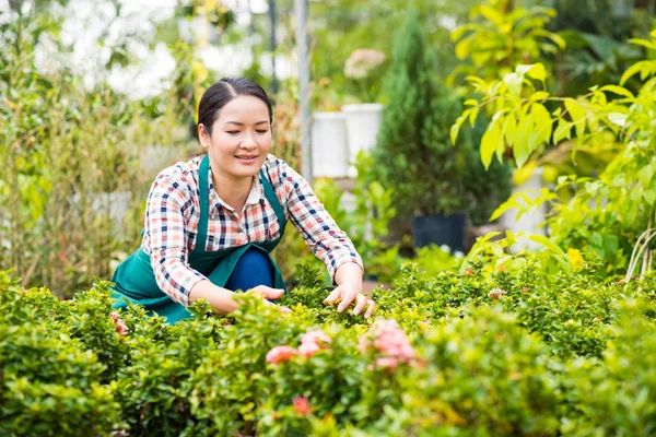 Trabajando en el Jardín — Foto de Stock