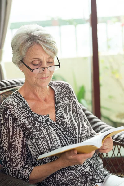 Lezen — Stockfoto