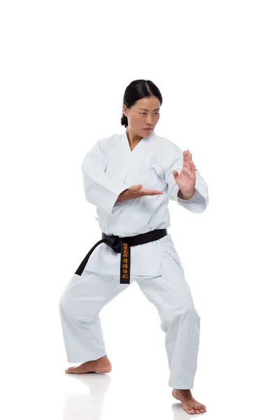 Karate ustası — Stok fotoğraf