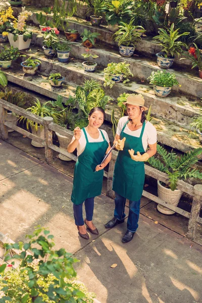 Seleccionistas no trabalho — Fotografia de Stock