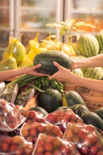 Watermelon selling — Stock Photo, Image