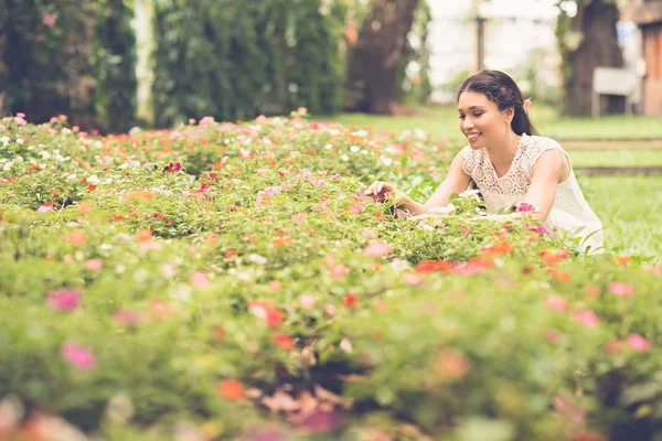 Picking flowers — Stock Photo, Image