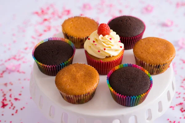 Tallrik med cupcakes — Stockfoto